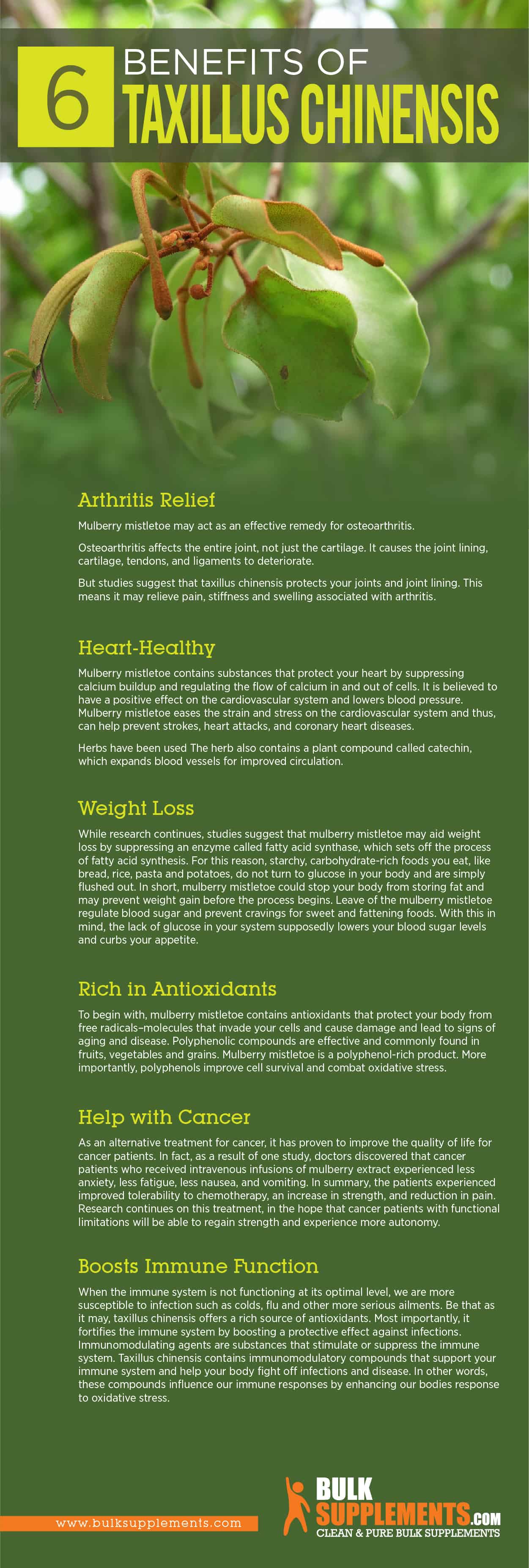 Taxillus Chinensis Infographic