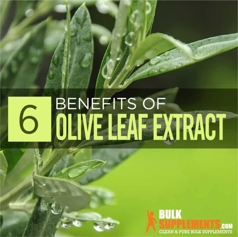 Olive Leaf Extract Benefits, Side Effects & Dosage