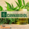 Cannabidiol (CBD): Benefits, Side Effects & Dosage