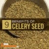 Celery Seed Extract: Benefits, Side Effects & Dosage