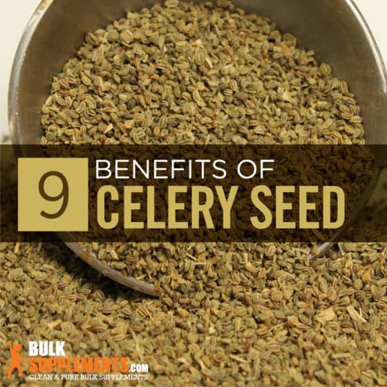 Celery Seed Extract Benefits, Side Effects & Dosage