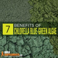 Chlorella Blue-Green Algae: Benefits, Side Effects & Dosage