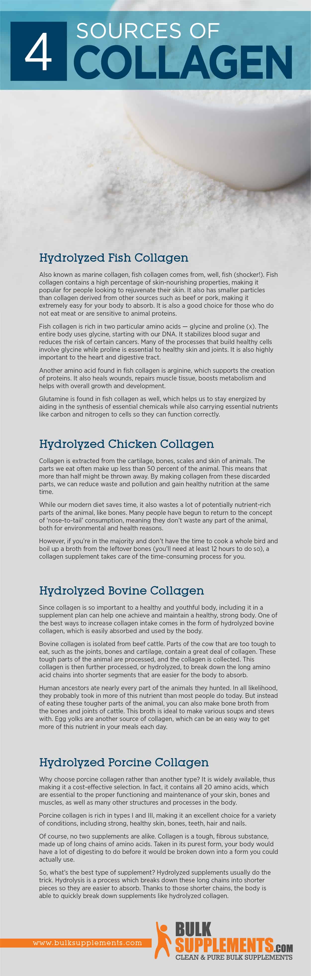 sources of collage protein powder