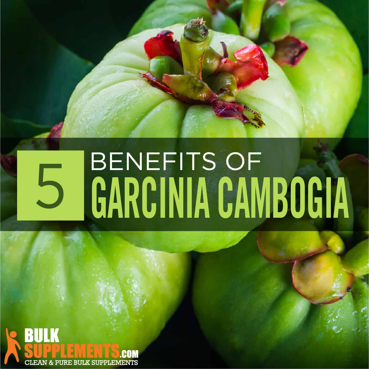 Garcinia Cambogia Benefits Side Effects Dosage