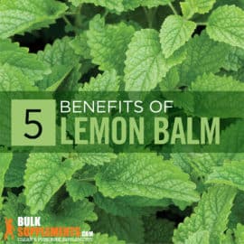 Lemon Balm: Benefits, Side Effects & Dosage