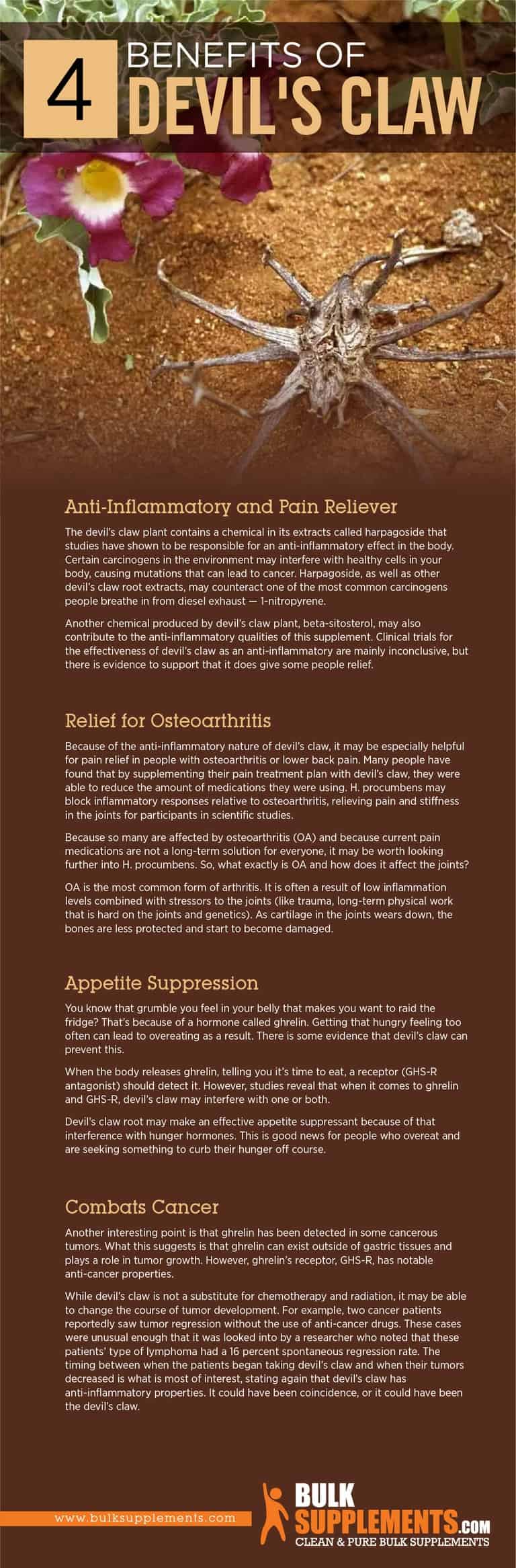 Devil's Claw Extract Benefits, Side Effects & Dosage