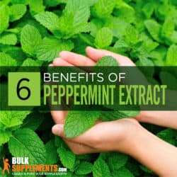 peppermint oil side effects