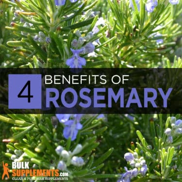 Rosemary Extract: Benefits, Side Effects & Dosage