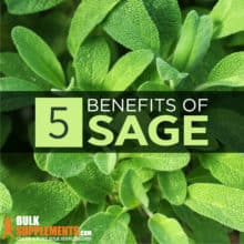 Sage Extract: Benefits, Side Effects & Dosage