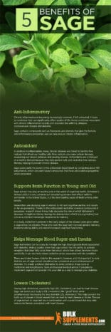 Sage Extract: Benefits, Side Effects & Dosage