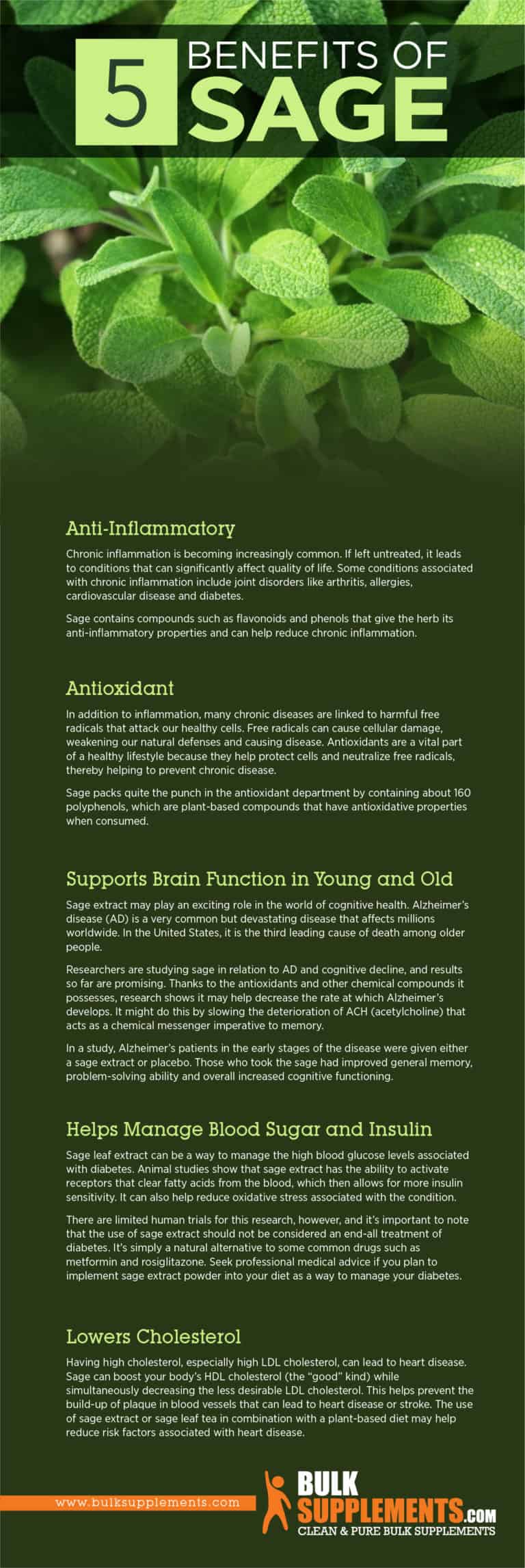 Sage Extract Benefits, Side Effects & Dosage