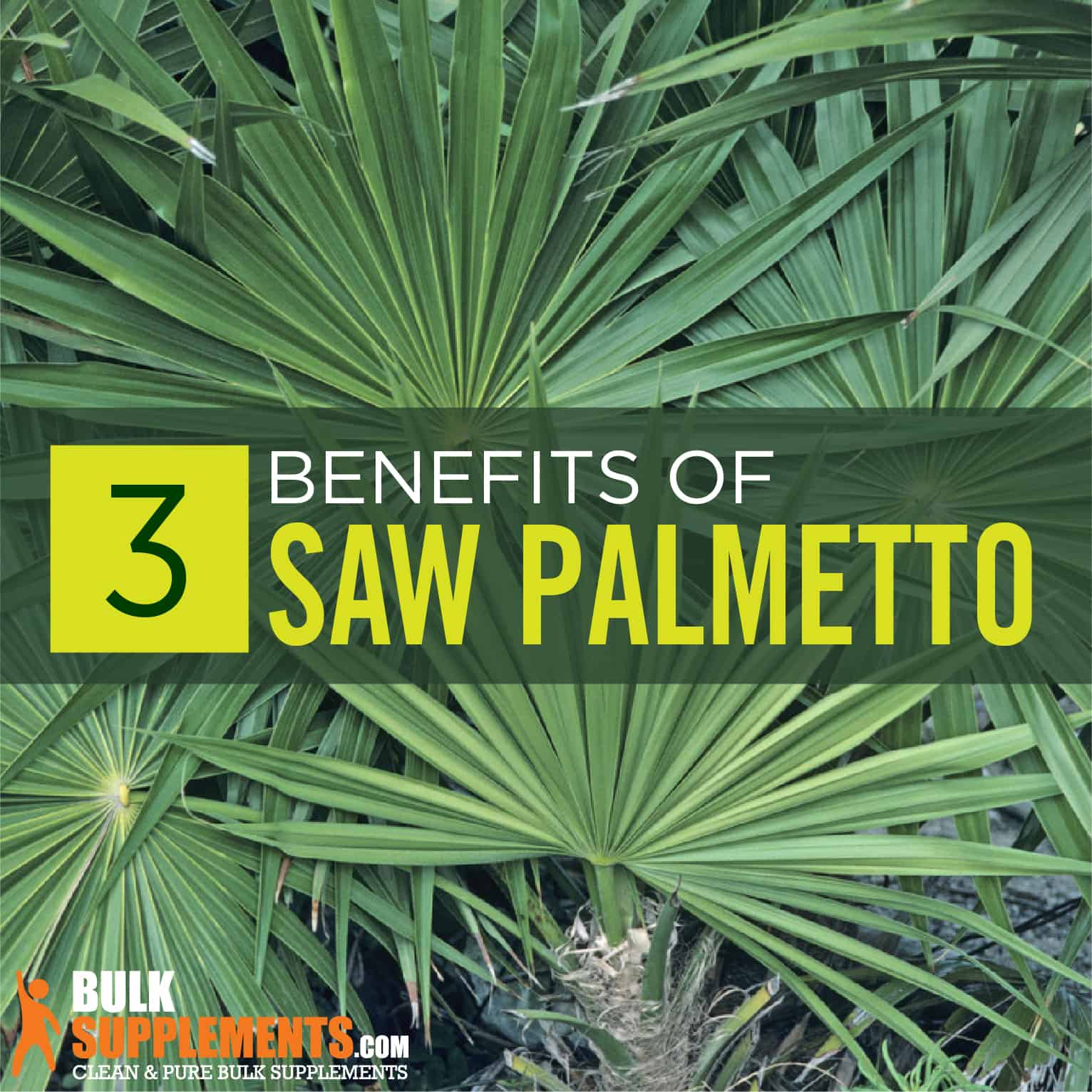 Saw Palmetto Benefits, Side Effects & Dosage