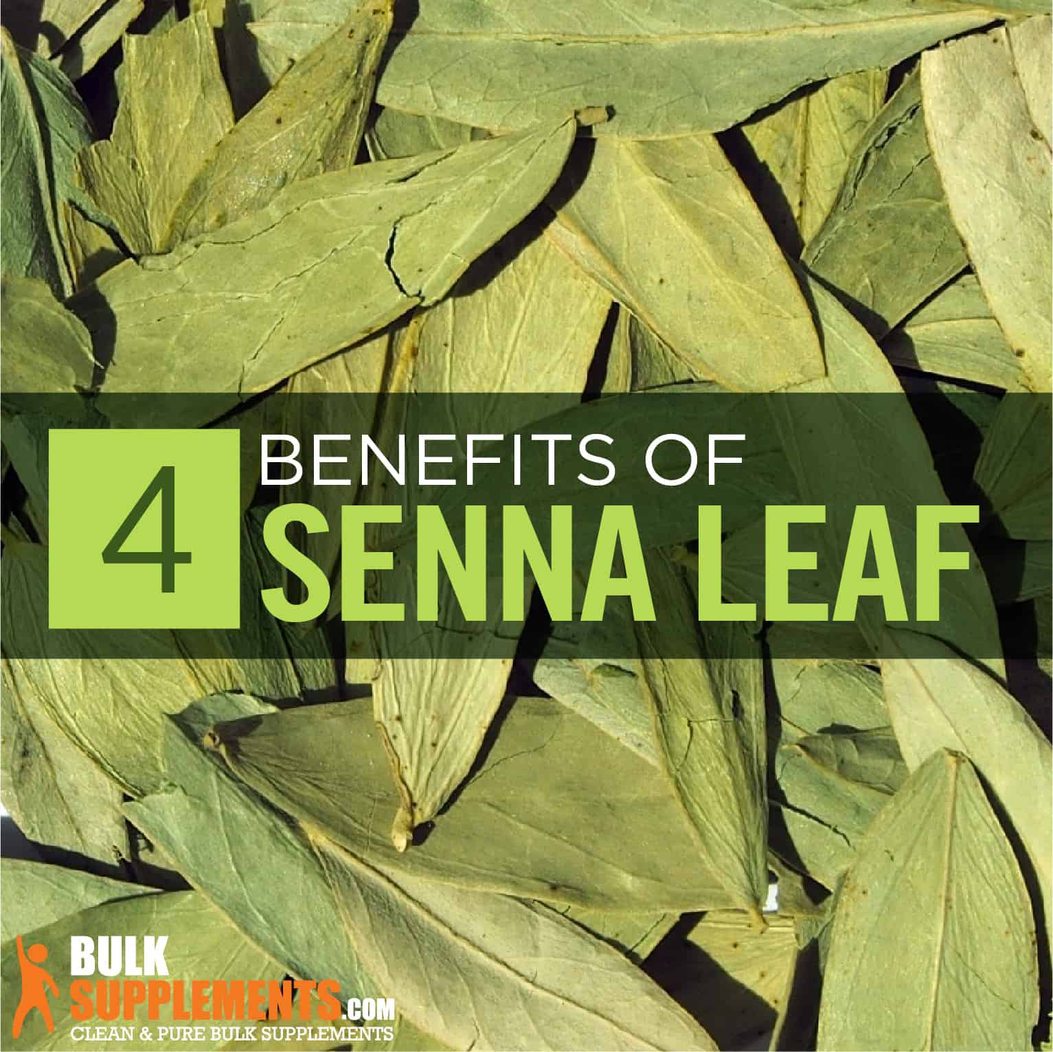 Senna Leaf