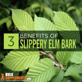 Slippery Elm Bark: Benefits, Side Effects & Dosage