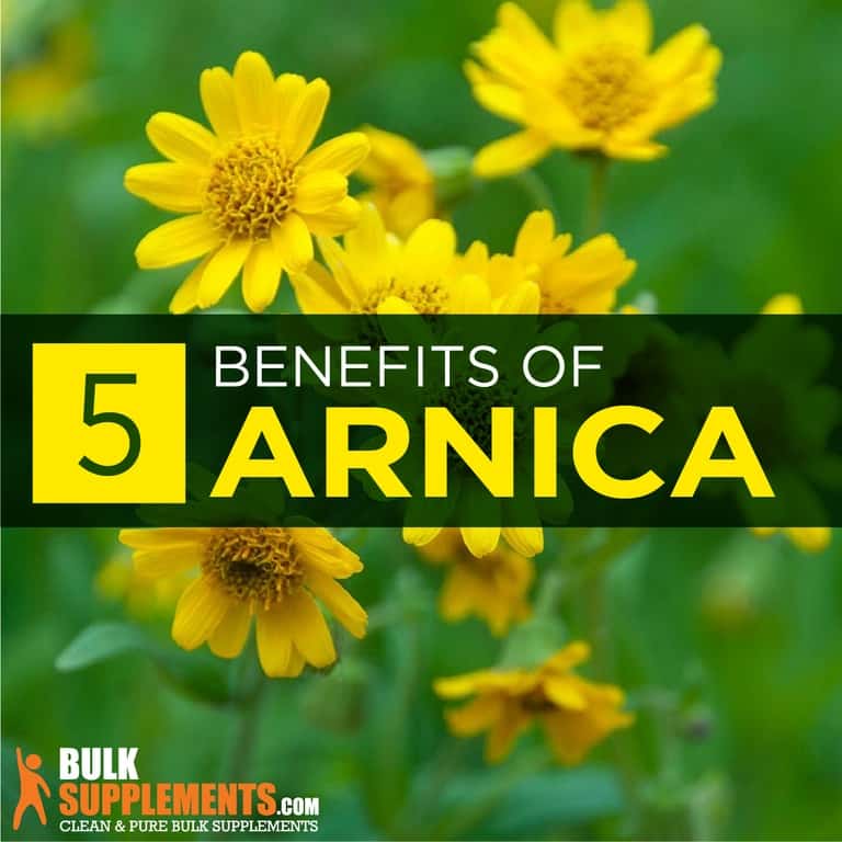 Arnica Benefits, Side Effects and Dosage