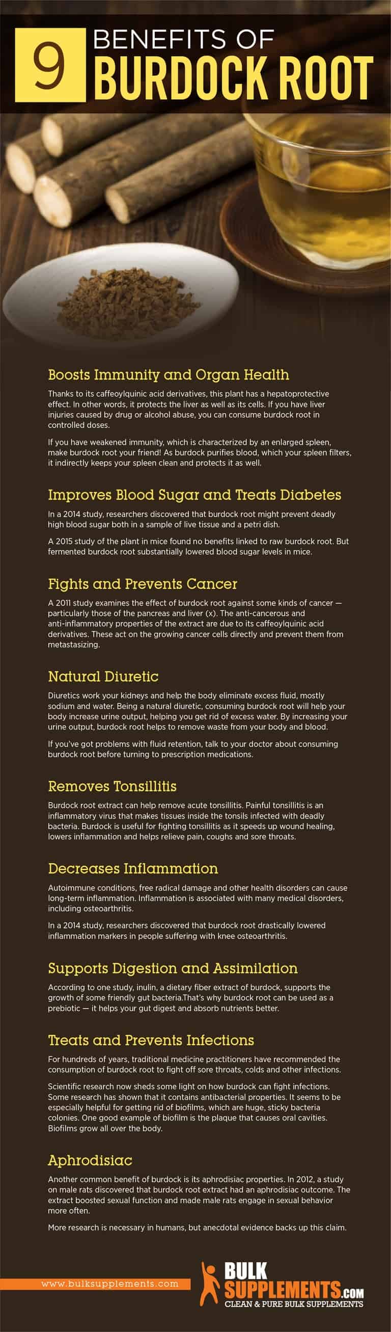 Burdock Root Benefits, Side Effects & Dosage