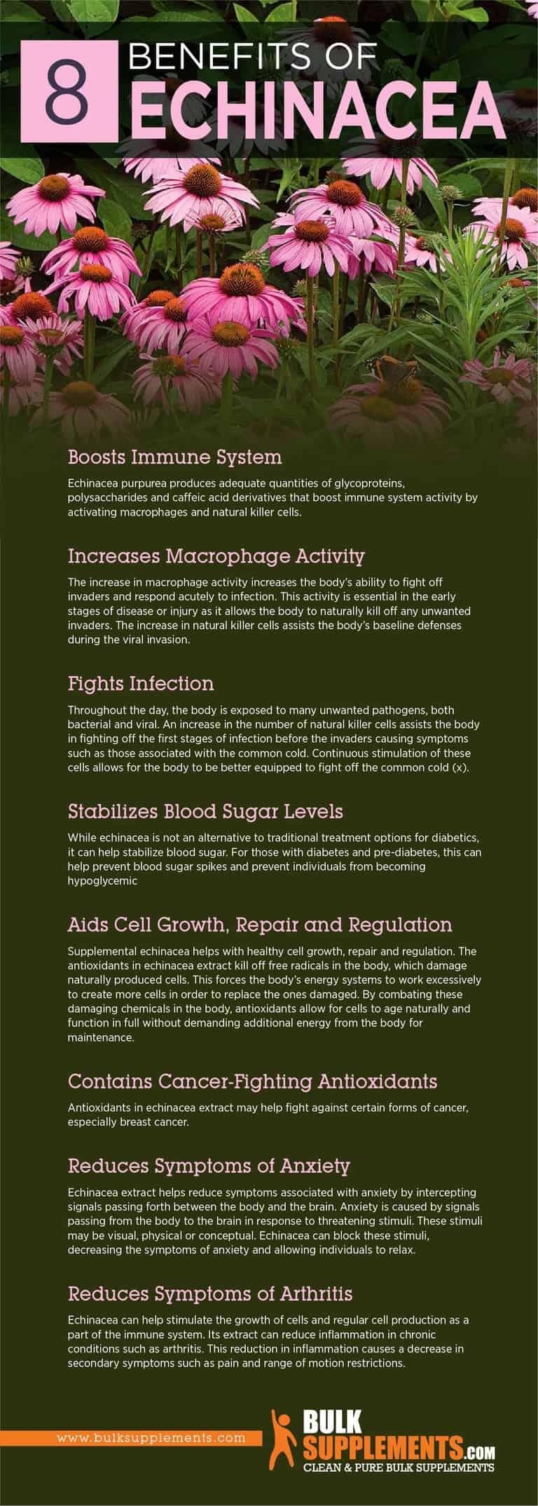 Echinacea Extract Benefits, Side Effects & Dosage