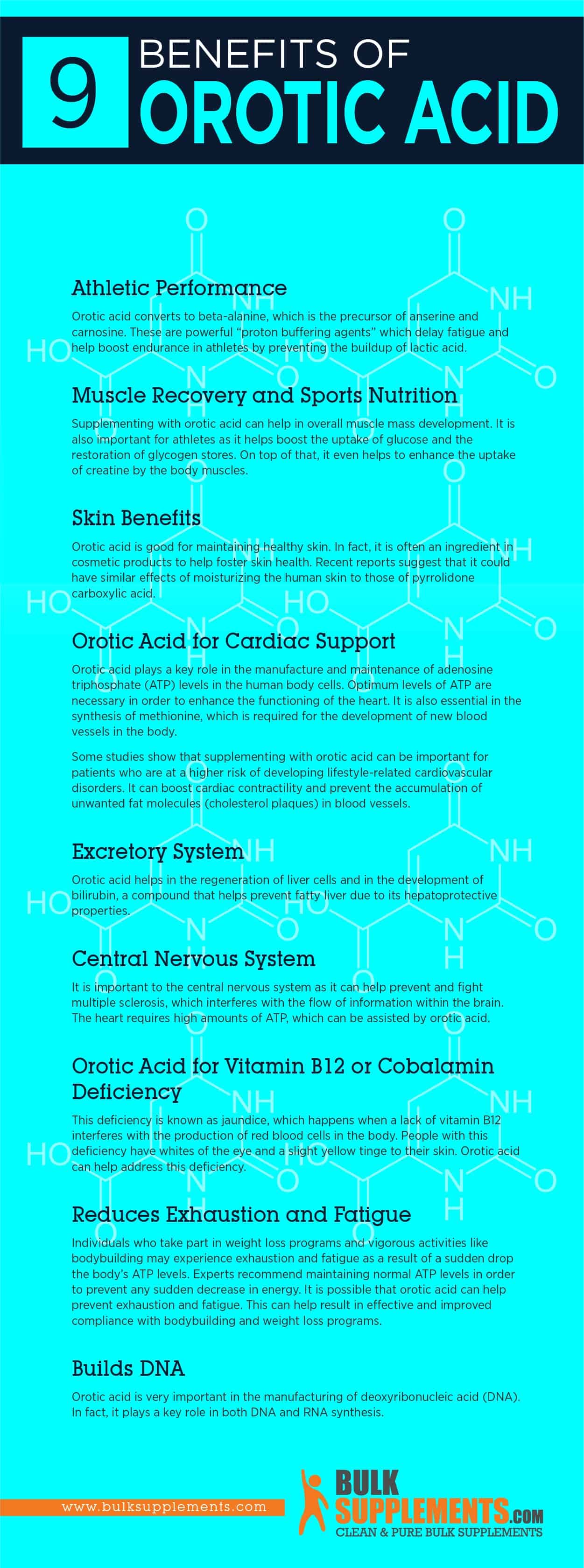 Orotic Acid Benefits