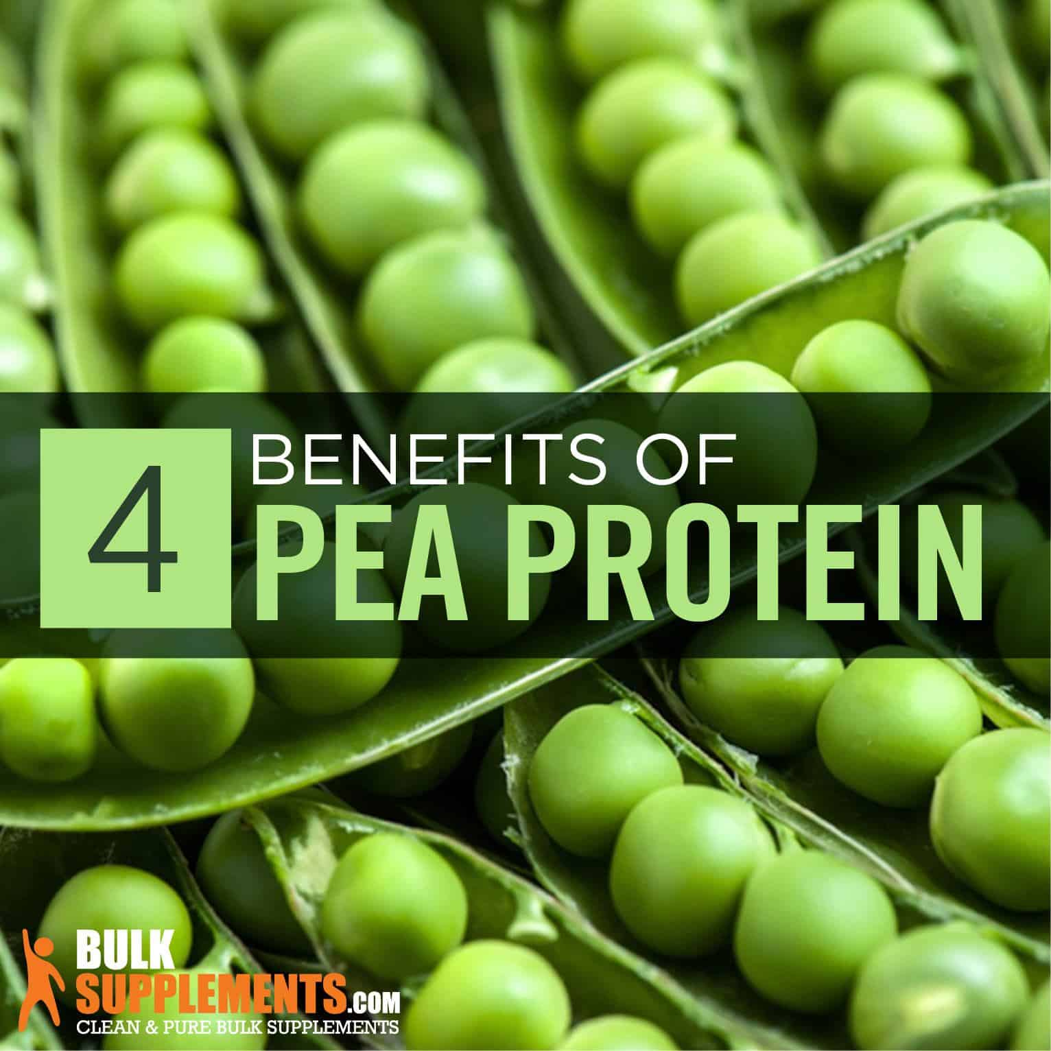 Pea Protein