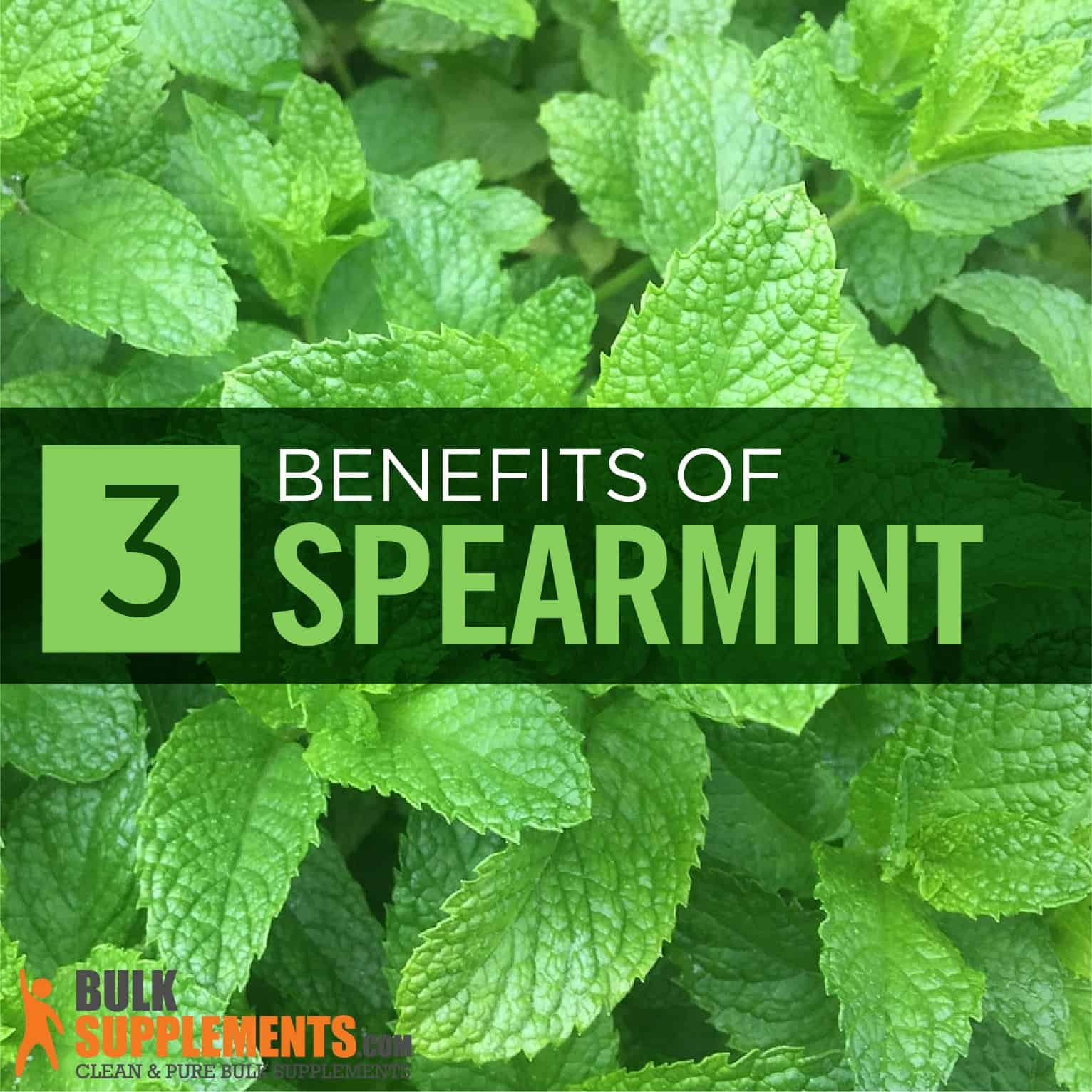 Spearmint Extract: Benefits, Side Effects & Dosage |