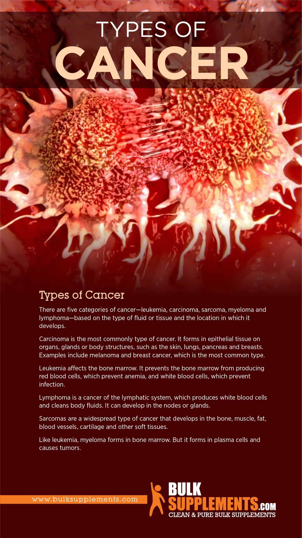 Cancer Types