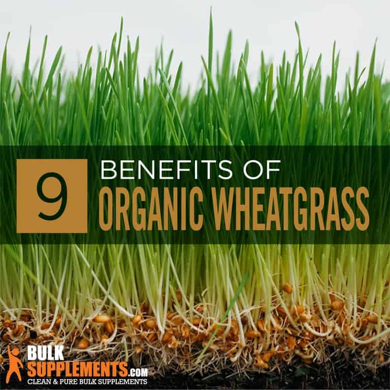 Organic Wheatgrass Benefits, Side Effects & Dosage