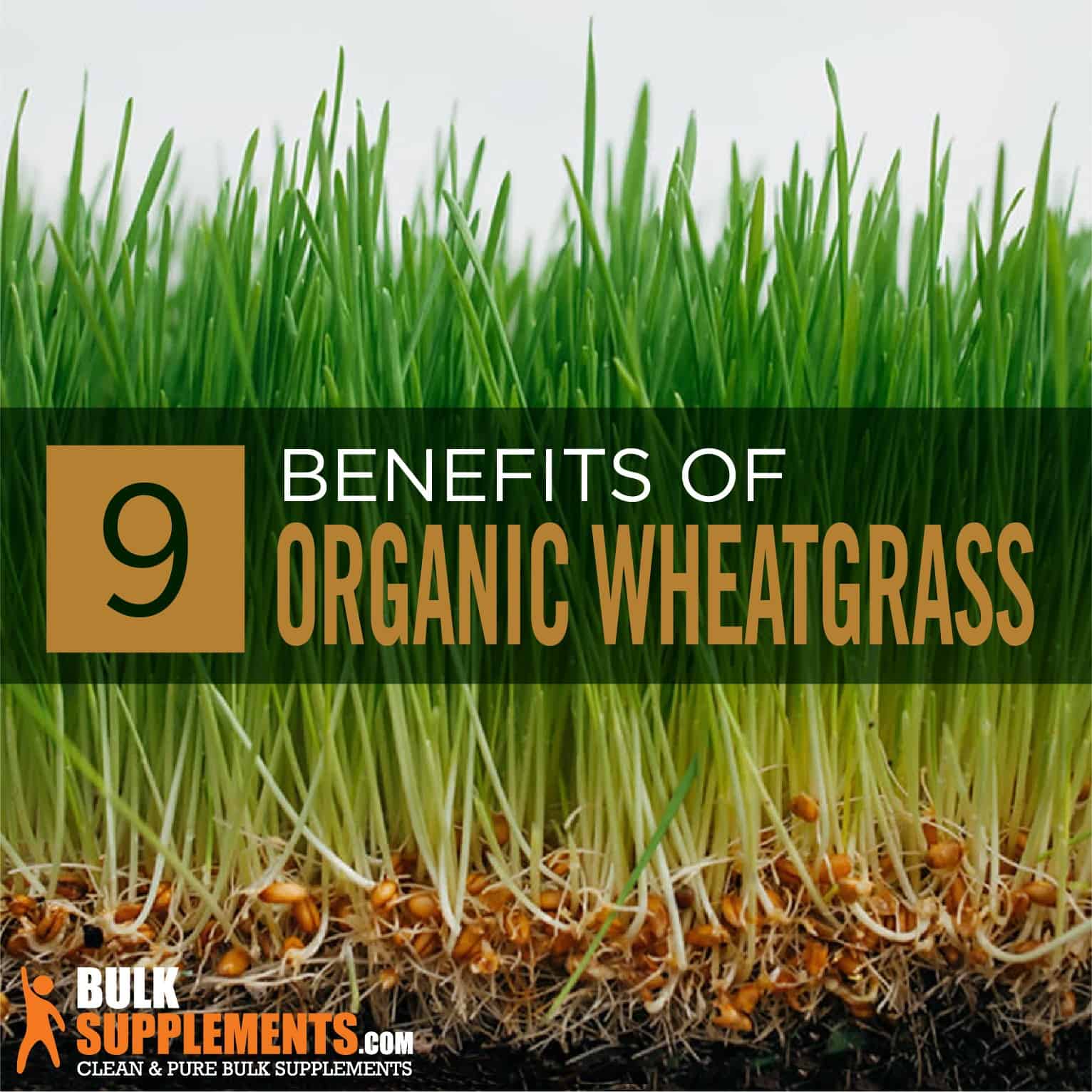 Organic Wheatgrass