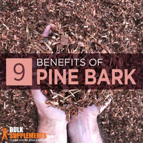 Pine Bark Extract Benefits, Side Effects & Dosage