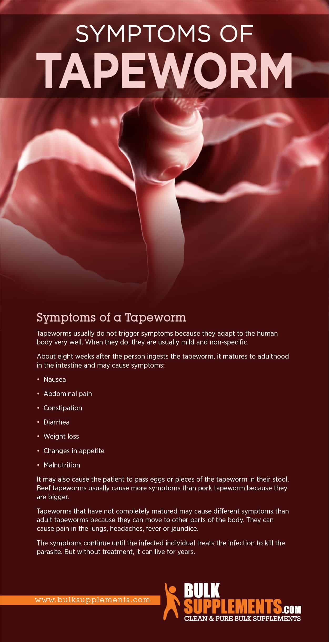 tapeworm segments in human stool