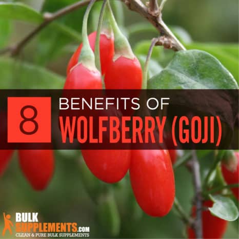 Wolfberry (Goji) Extract: Benefits, Side Effects & Dosage