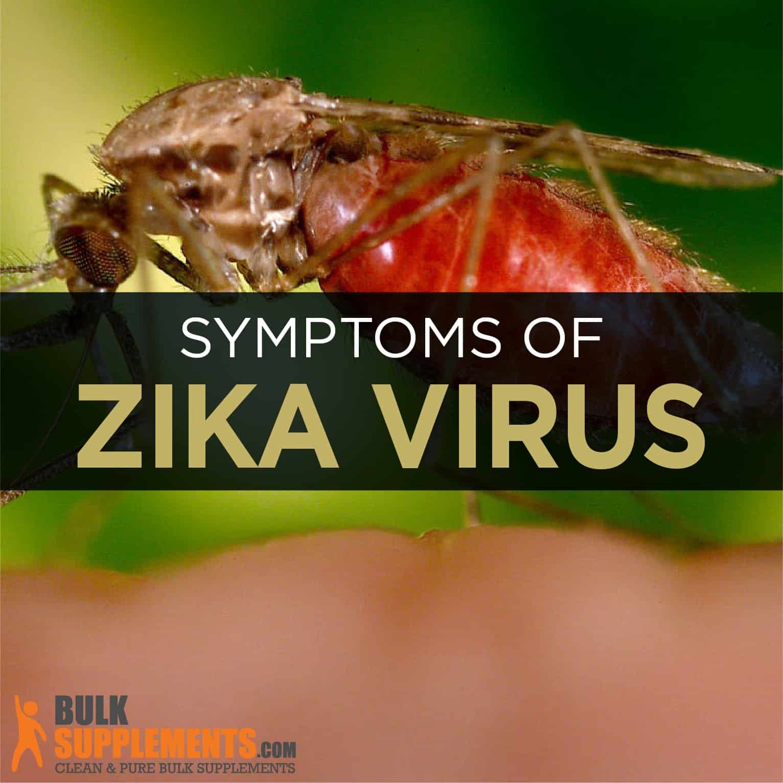 Zika Virus