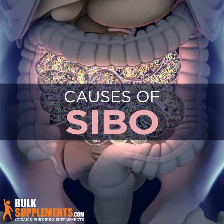 What is SIBO Causes, Symptoms, Diet & Treatment