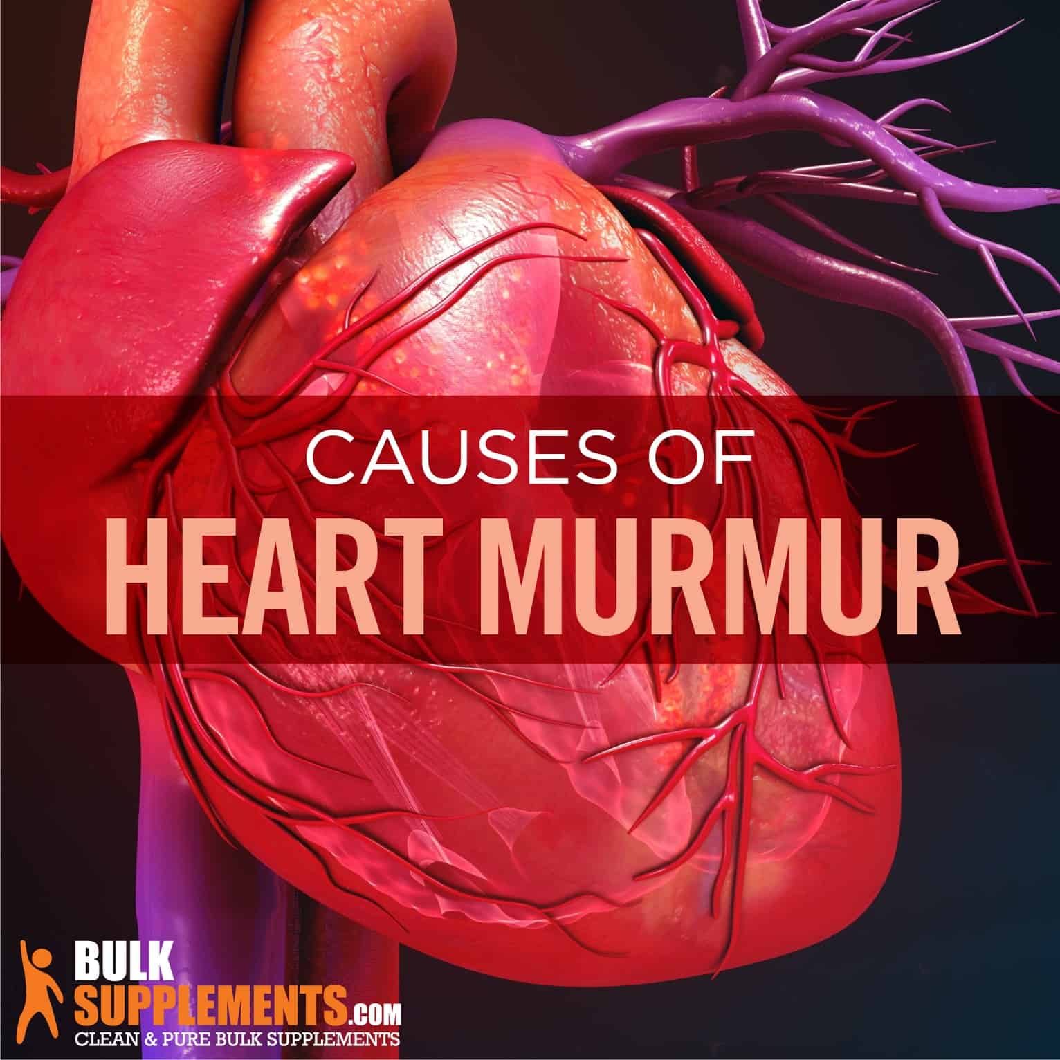 Murmur of the Heart 