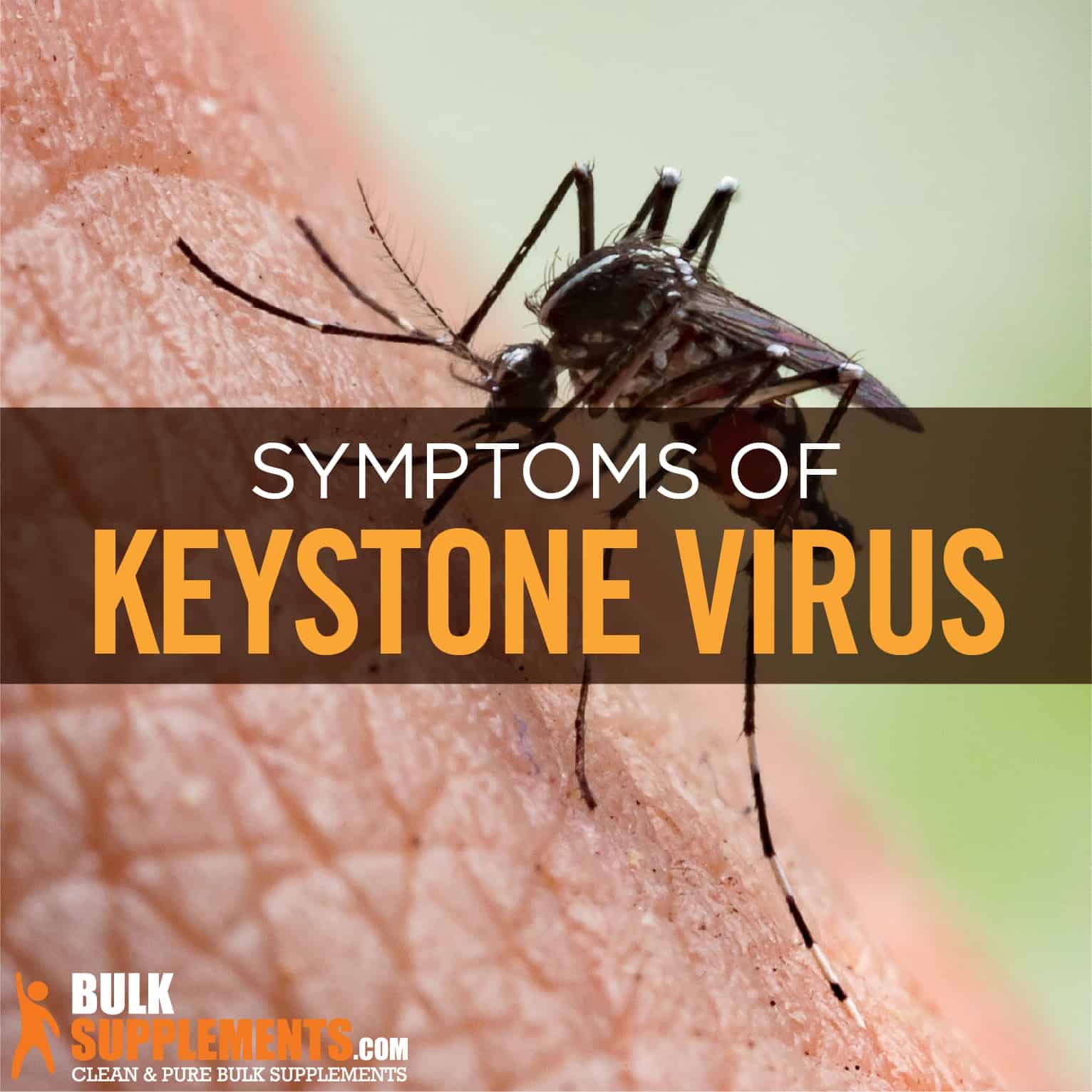 Keystone Virus