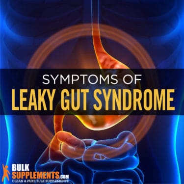 Leaky Gut Syndrome. Regain Your Vitality with Supplements