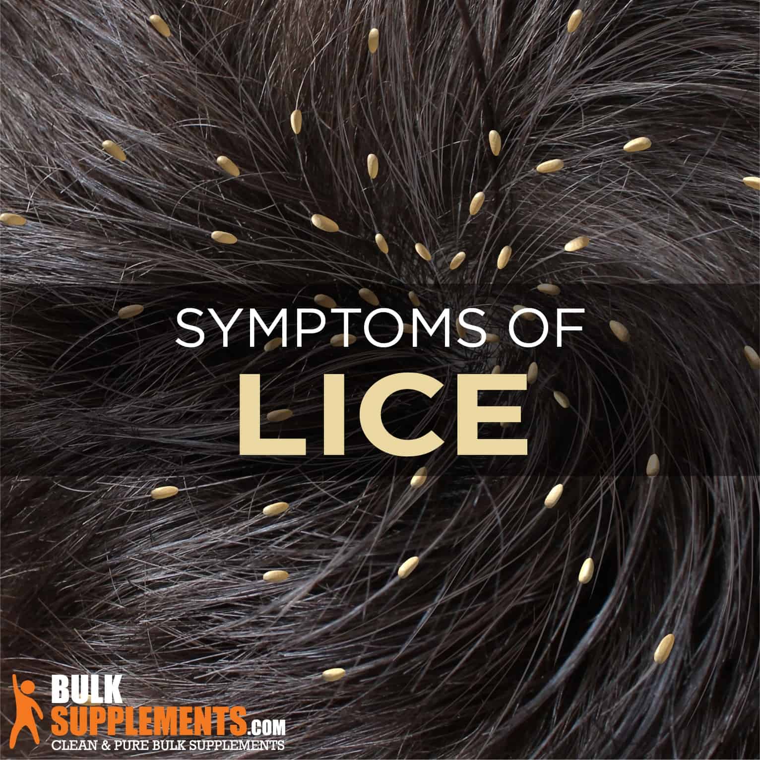 Lice: Symptoms, Causes & Treatment by James Denlinger