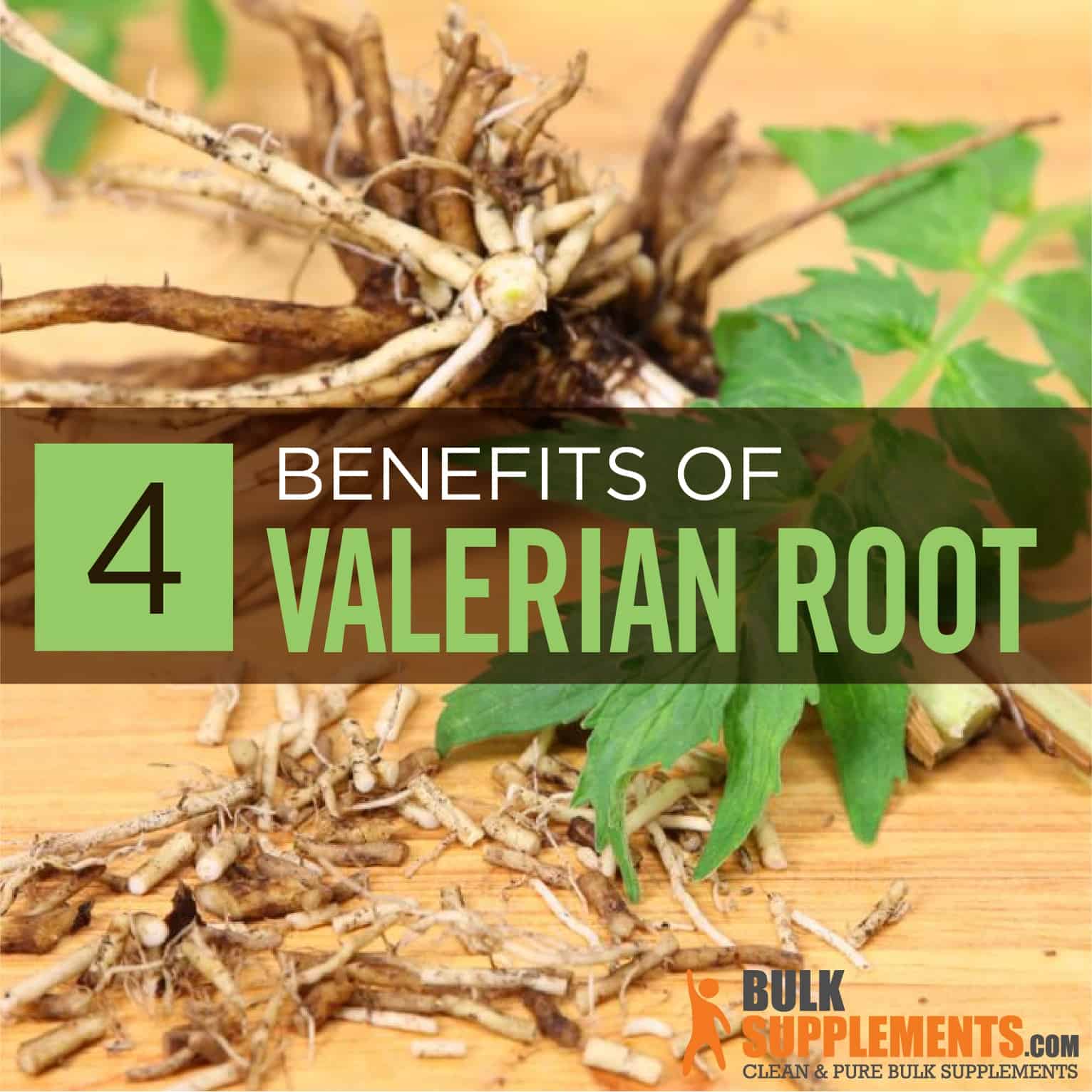 Valerian Root Extract Benefits, Side Effects & Dosage