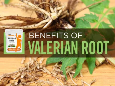 valerian root