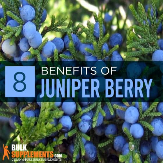 Juniper Berry Benefits & Side Effects