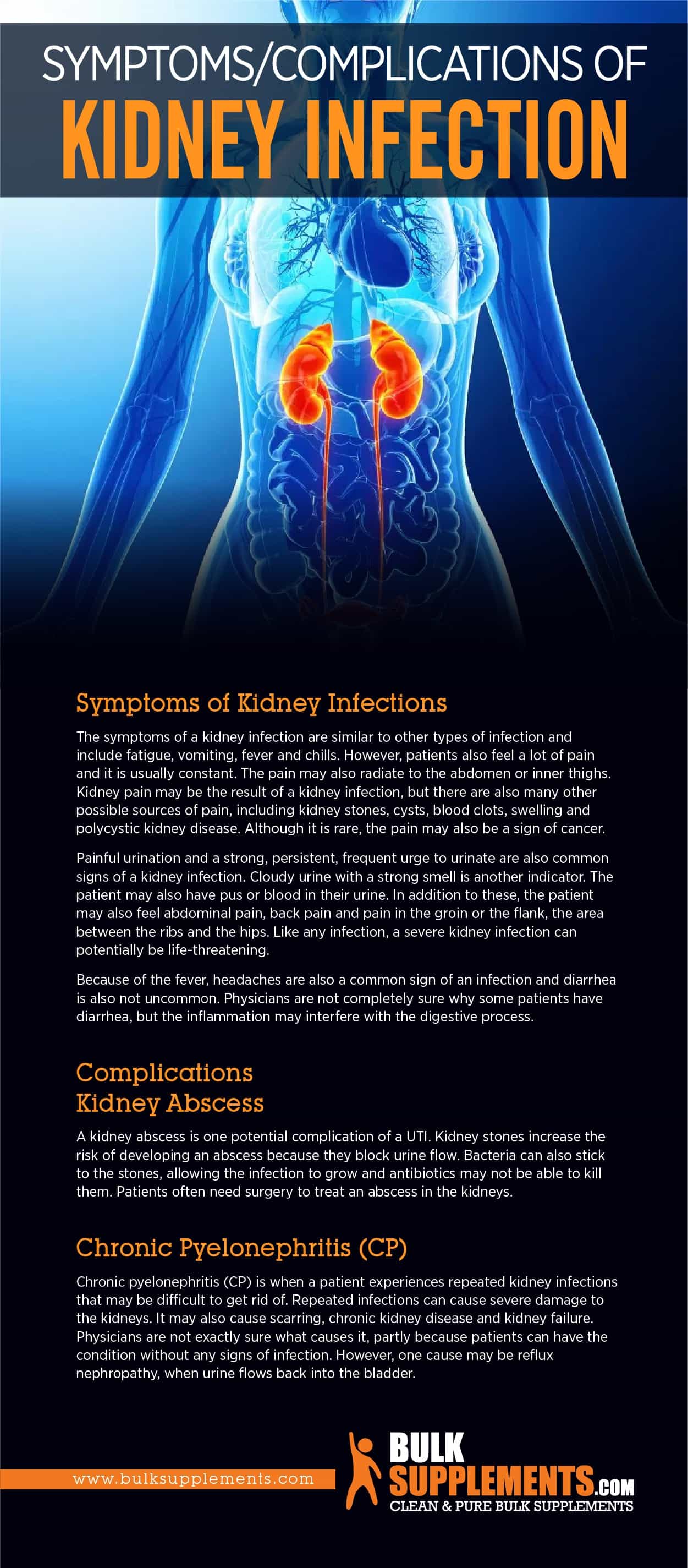 What Happens If A Dog Has A Kidney Infection