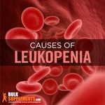 What is Leukopenia: Causes, Symptoms & Treatment