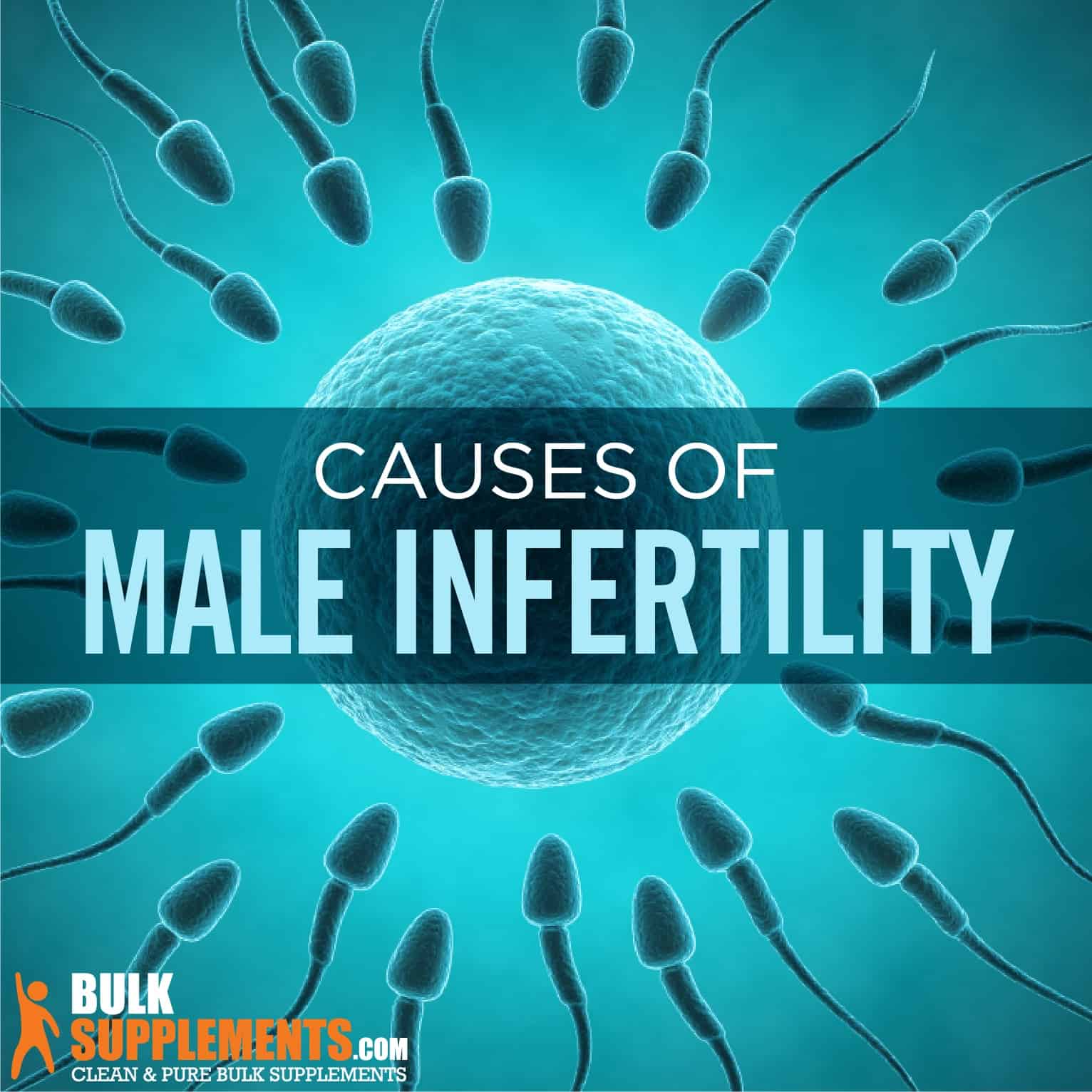 Male Infertility: Signs, Causes & Treatment by James Denlinger