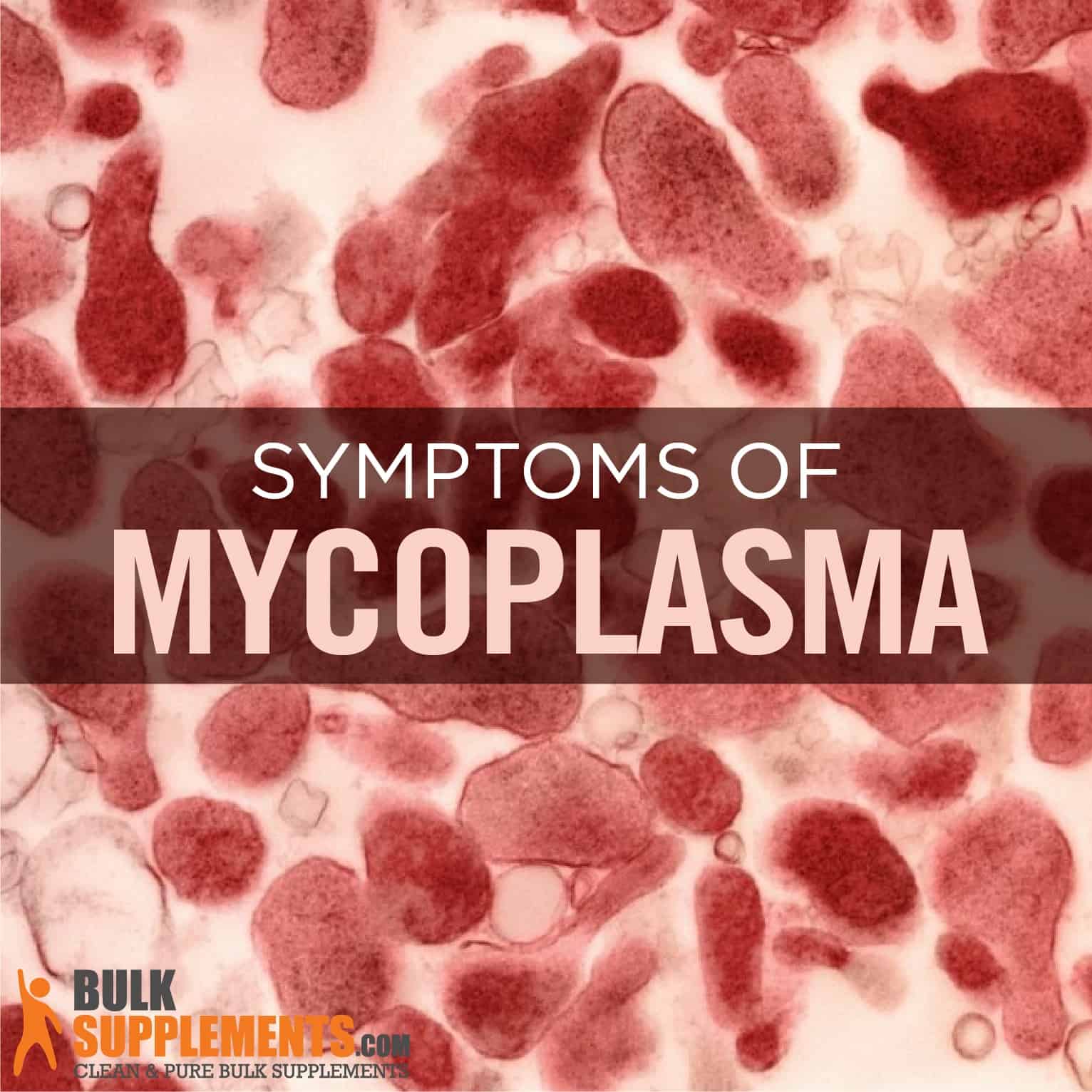 Mycoplasma Infection. Boost Your Immune System With Our Supplements