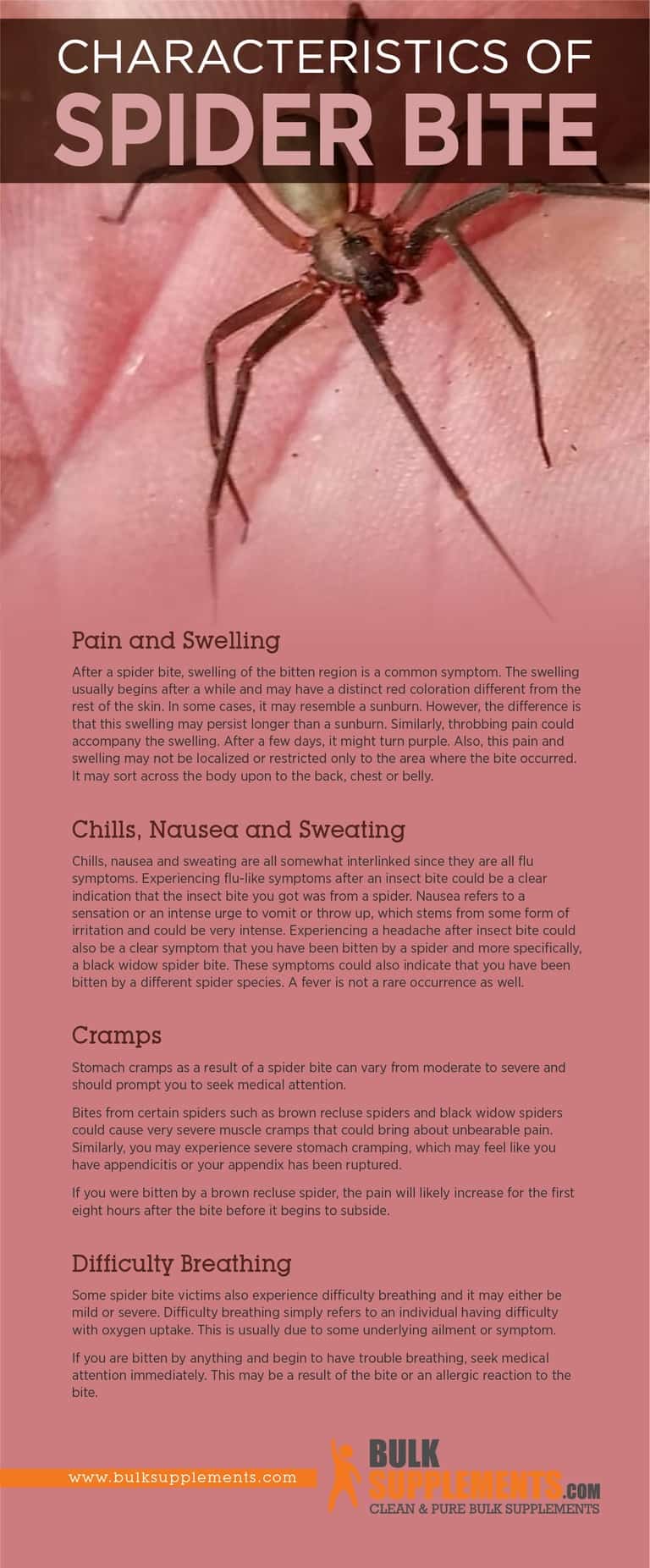 Spider Bite. Effective Treatment & Supplements for Spider Bites