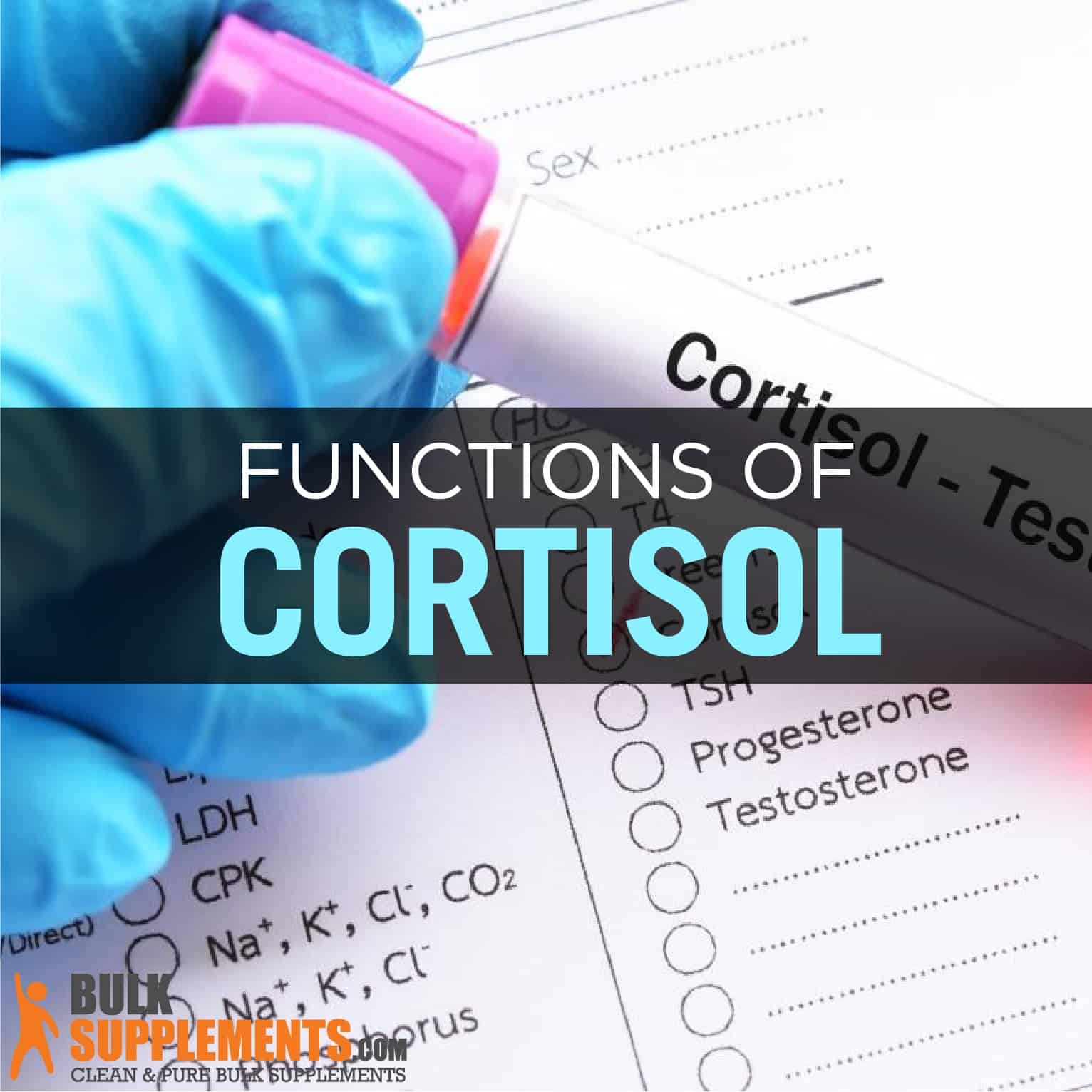 cortisol function