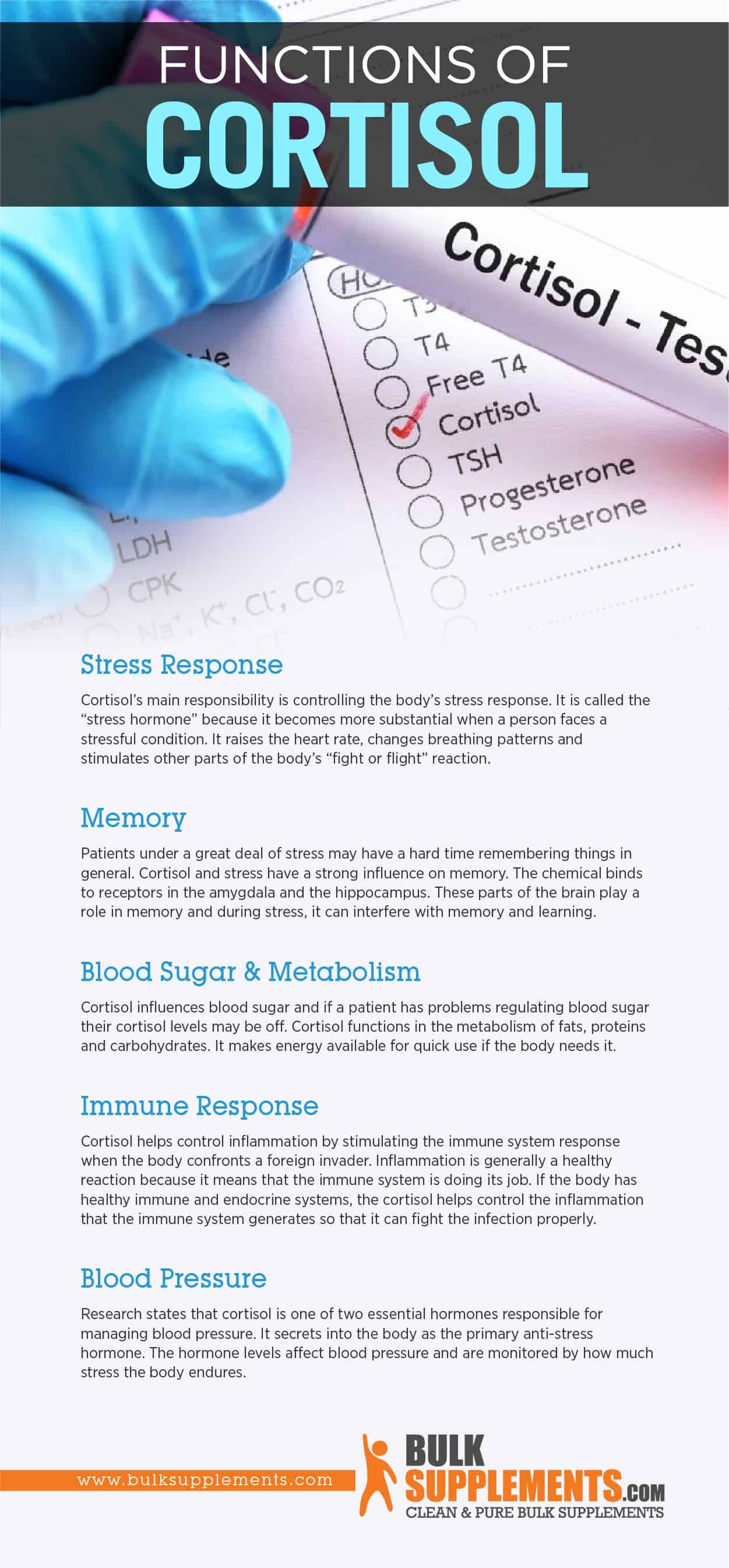 cortisol function