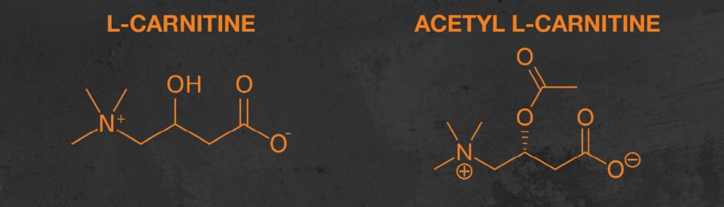 L-carnitine vs. acetyl L-carnitine