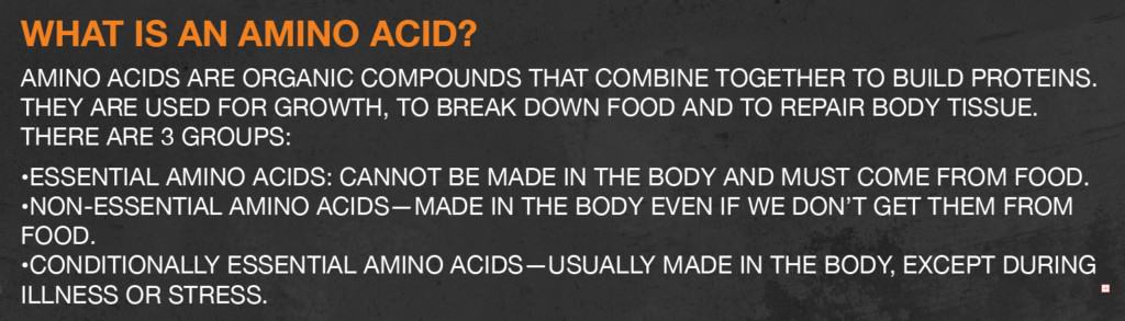 What is an amino acid?