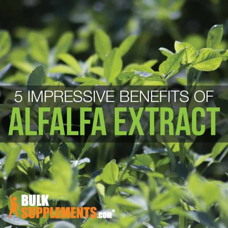 5 Impressive Benefits of Alfalfa Extract & How to Use It