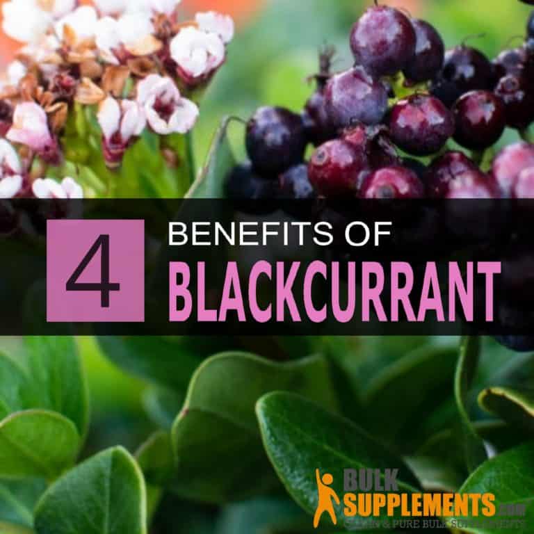 Blackcurrant: Benefits, Side Effects, and Dosage